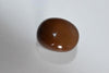 2004-2009 Lexus Rx330 Rx350 Rx400 Rx400H  Woodgrain Shift Knob - BIGGSMOTORING.COM